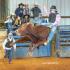 North Mississippi Winter Bull Riding Series